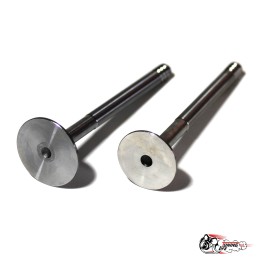 Клапана облегчённые ВАЗ 2110-12, Приора Спорт