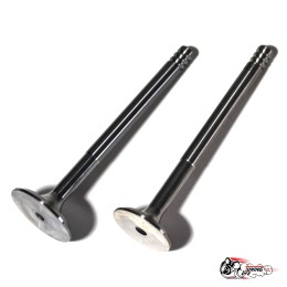 Клапана облегчённые ВАЗ 2110-12, Приора Спорт