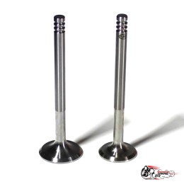 Клапана облегчённые ВАЗ 2110-12, Приора Спорт