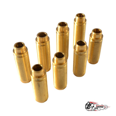 БРОНЗОВЫЕ НАПРАВЛЯЮЩИЕ