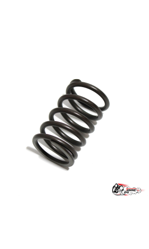 ПРУЖИНКИ КЛАПАНОВ 