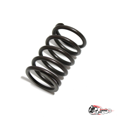 ПРУЖИНКИ КЛАПАНОВ