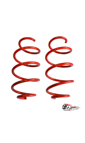 ПРУЖИНЫ ДЛЯ LADA Priora/Kalina/Granta ПРУЖИНЫ ДЛЯ LADA Priora/Kalina/Granta