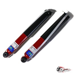 Амортизаторы задние Демфи ВАЗ 2101-2107 -50 (газ/масло)