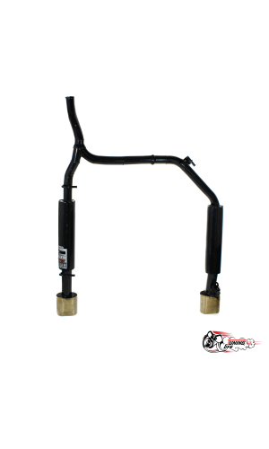 РАЗДВОЕННЫЕ РАЗДВОЕННЫЕ