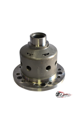 САМОБЛОКИРУЮЩИЙСЯ ДИФФЕРЕНЦИАЛ САМОБЛОКИРУЮЩИЙСЯ ДИФФЕРЕНЦИАЛ