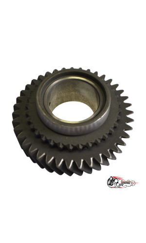 ШЕСТЕРНИ СПОРТИВНЫХ РЯДОВ ШЕСТЕРНИ СПОРТИВНЫХ РЯДОВ