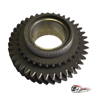 ШЕСТЕРНИ СПОРТИВНЫХ РЯДОВ