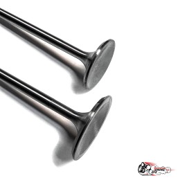 Клапана тюльпан облегчённые Лада Vesta