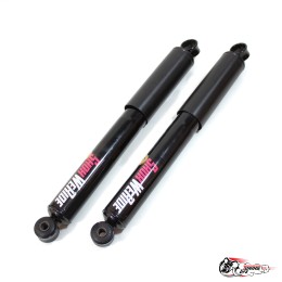 Амортизаторы We Ride Shox WINTER  задние