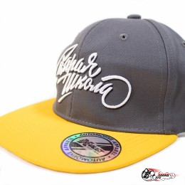 Кепка Старая школа (плоский козырёк)