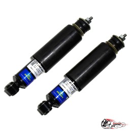 Амортизаторы ДЕМФИ передние 21214-23 масло Оригинал