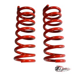 Пружины тр 2121 перед +30