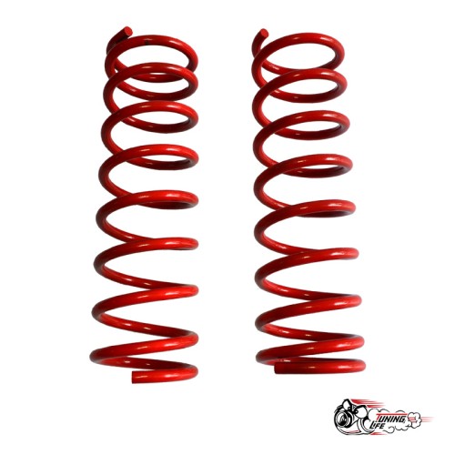 Пружины Тр 2123 зад +30