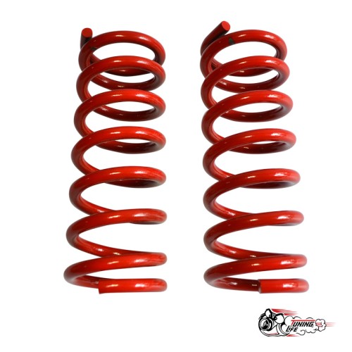 Пружины Тр 2123 перед +30