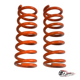 Пружины Тр 2121 перед +50