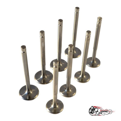 Облегченные клапана 2101-07 \\ Нива