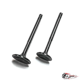 Облегченные клапана 2101-07 \\ Нива (тюльпан) Автостандарт