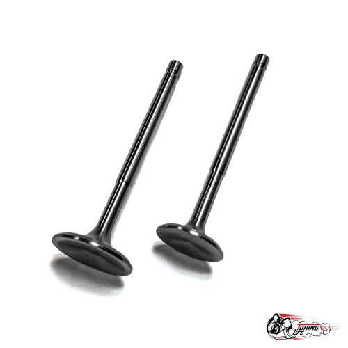 Облегченные клапана 2101-07 \\ Нива (тюльпан) Автостандарт