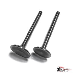 Облегченные клапана 21083 (тюльпан) Автостандарт