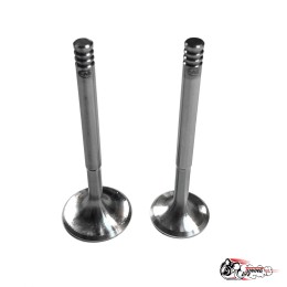 Облегченные клапана 21083 (тюльпан) Автостандарт