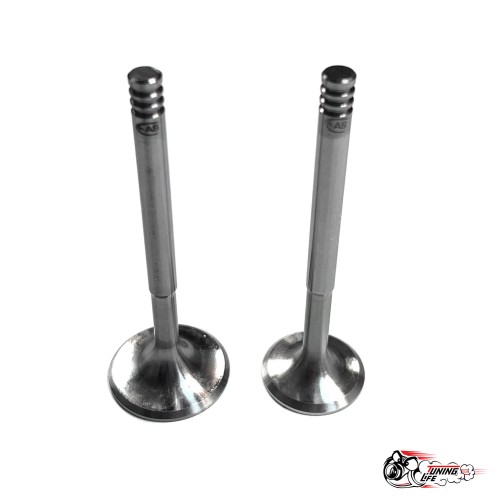 Облегченные клапана 21083 (тюльпан) Автостандарт