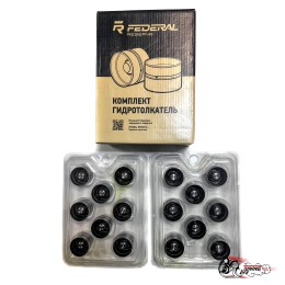 Гидрокомпенсаторы 16v Пермь федерал могул