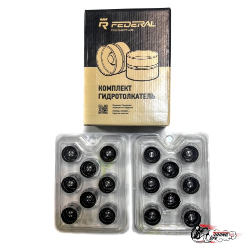 Гидрокомпенсаторы 16v Пермь федерал могул