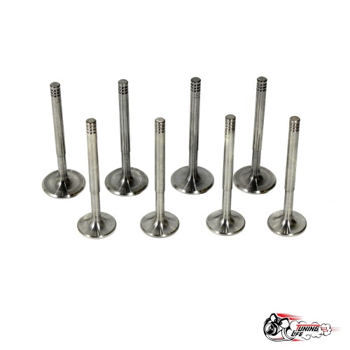 Облегченные клапана AMP ЧПУ 2108