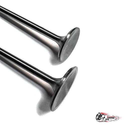 Облегченные клапана ВЕСТА ножка 5мм (тюльпан) Автостандарт