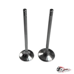 Облегченные клапана ВЕСТА ножка 5мм (тюльпан) Автостандарт