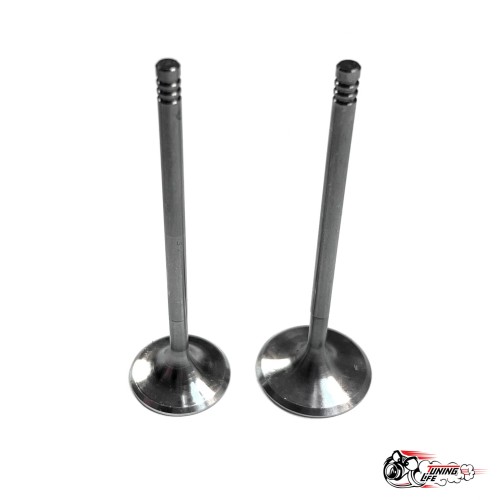 Облегченные клапана ВЕСТА ножка 5мм (тюльпан) Автостандарт