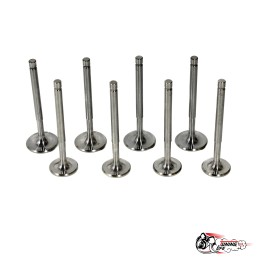 Облегченные клапана AMP ЧПУ 2101