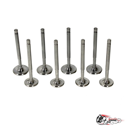 Облегченные клапана AMP ЧПУ 2101