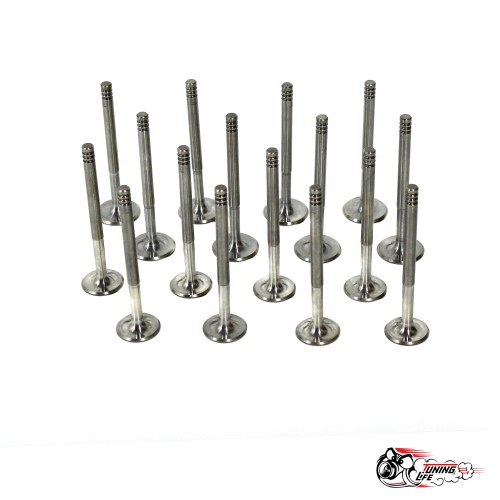 Облегченные клапана AMP ЧПУ 2112