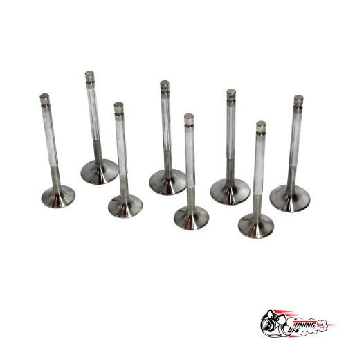 Облегченные клапана РС 2101-07 (доработанный)