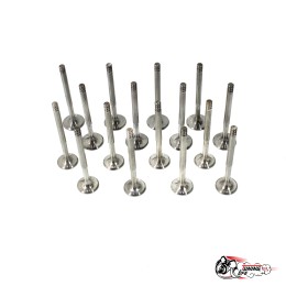 Облегченные клапана 2112