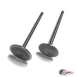 Облегченные клапана ВЕСТА ножка 5мм (тюльпан) Автостандарт