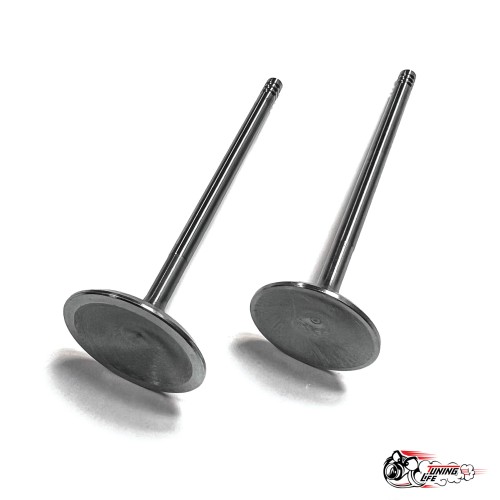 Облегченные клапана ВЕСТА ножка 5мм (тюльпан) Автостандарт