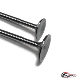 Облегченные клапана 2101-07 \\ Нива (тюльпан) Автостандарт