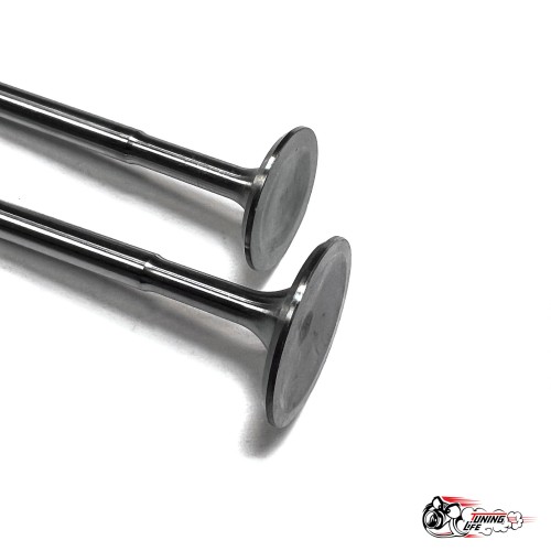 Облегченные клапана 2101-07 \\ Нива (тюльпан) Автостандарт