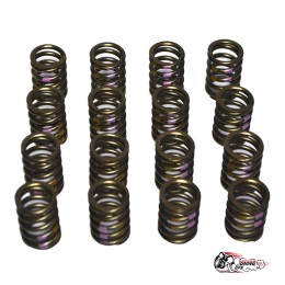 Пружины клапанов Schrick C20XE  для 16 кл ГБЦ (16шт)