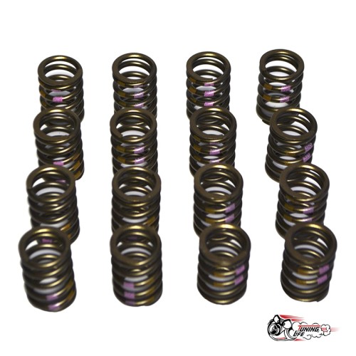 Пружины клапанов Schrick C20XE  для 16 кл ГБЦ (16шт)