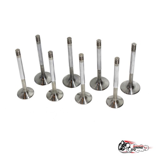 Облегченные клапана РС 2108 (доработанный)