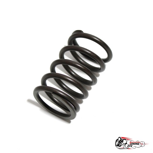 Пружинки клапана 2101 стандарт внутренние (04.18)