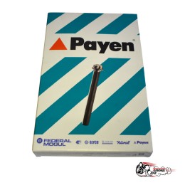 Болт ГБЦ Payen М10 (кт)