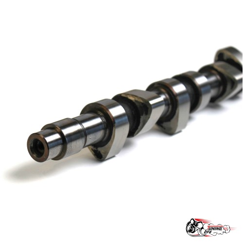 Распредвал 8v 10.9\282 ОКБ Динамика