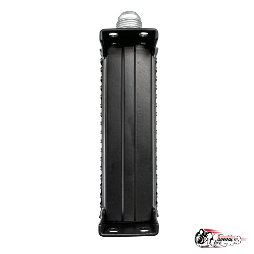 Масляный радиатор EURO 19 рядов (ЧЕРНЫЙ)