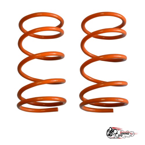 Пружины Тр ВАЗ 2108/10 передние (-50)