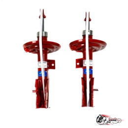 Стойки ДЕМФИ ВЕСТА газ (-50)